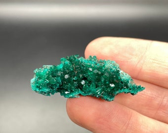 Dioptase Crystal From South Africa, AAA+ Grade, Healing Crystal, Crystal For Descision Making