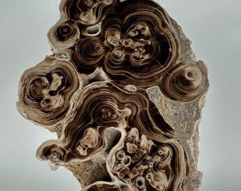 Chocolate Calcite Large Freeform