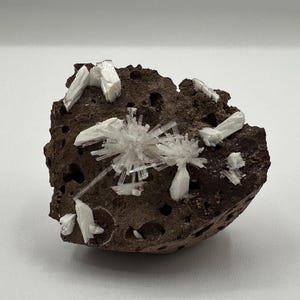 May include: A dark brown rock formation with clusters of white, crystal-like structures. The crystals are arranged in radiating patterns and individual formations. The rock has a porous texture, and the crystals are a bright white color.