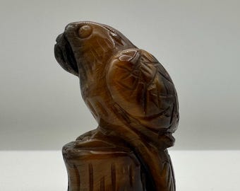 Tigers Eye Parrot