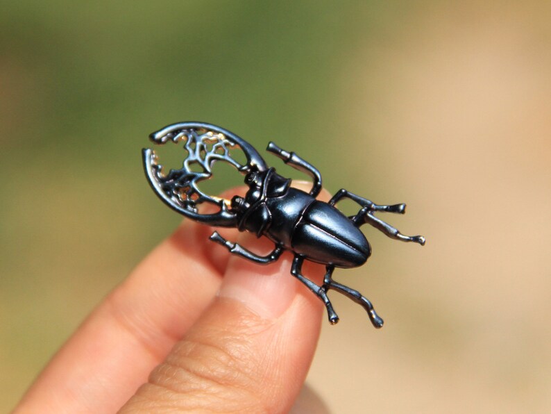 Secret Garden Golden Black Beetle Beetle