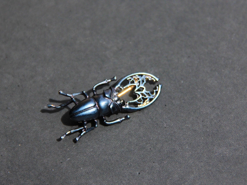 Secret Garden Golden Black Beetle Beetle
