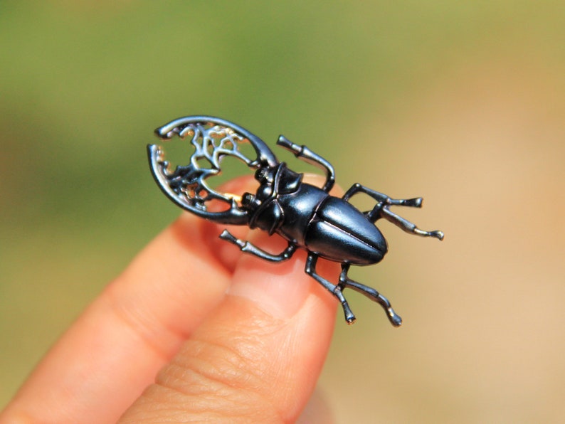 Secret Garden Golden Black Beetle Beetle