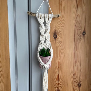 May include: A cream macrame plant hanger, holding a small pink pot with a green succulent. The hanger is suspended from a piece of driftwood. The design features a woven pattern and a long tassel. The background is a wooden door.