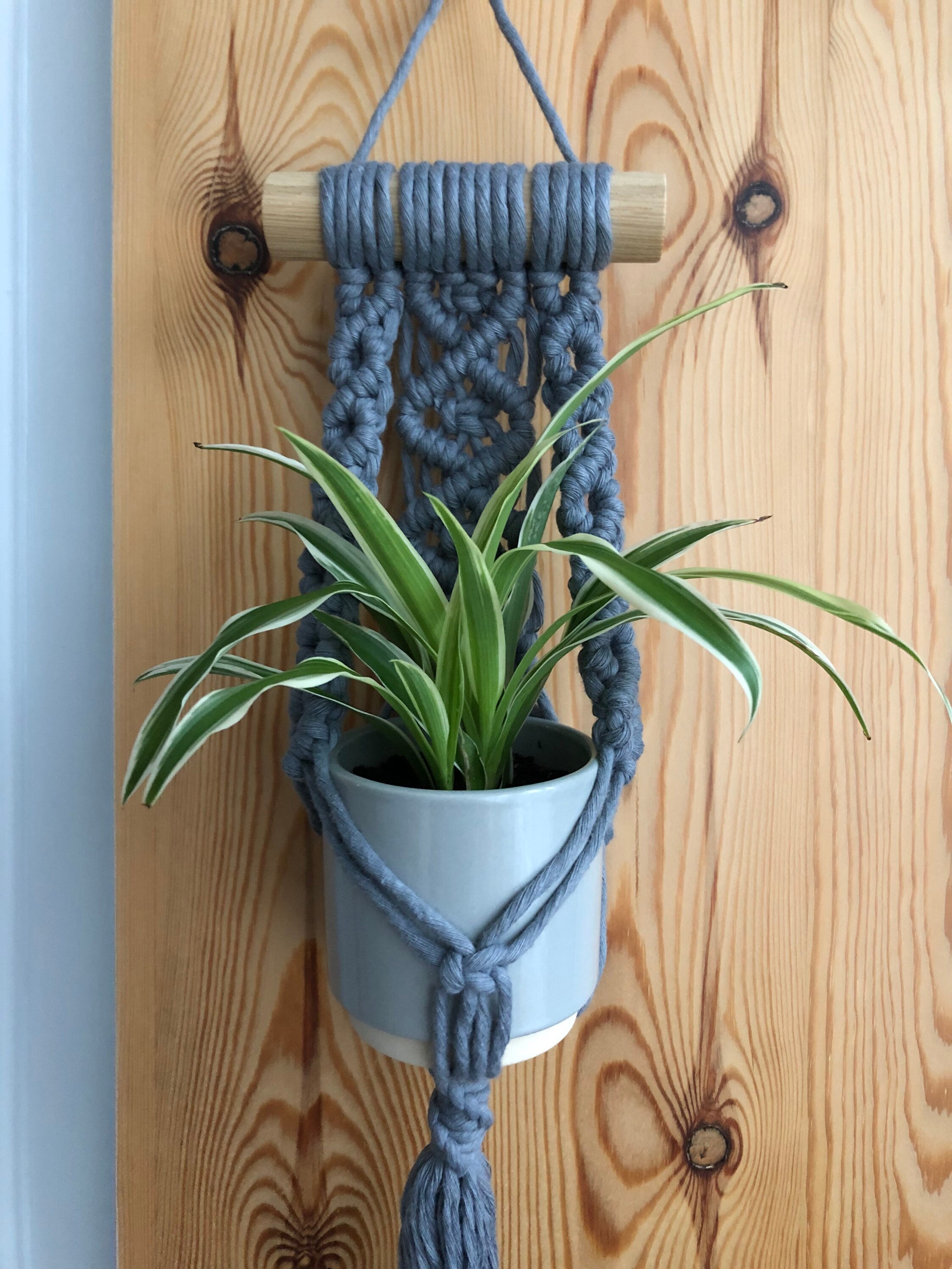 Extra small macrame plant holder wall hanging Etsy