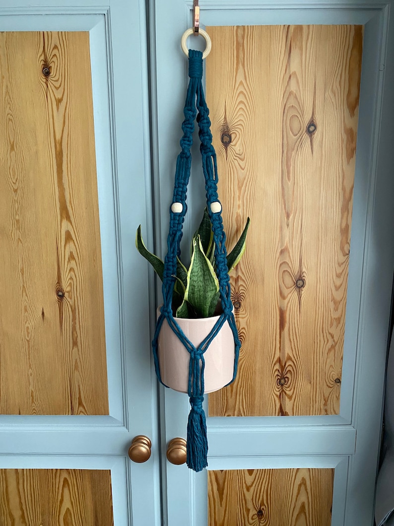 May include: A teal macrame plant hanger with a wooden ring and tassel, holding a light pink ceramic pot with a snake plant. The hanger is suspended from a copper hook. The background features wooden doors.