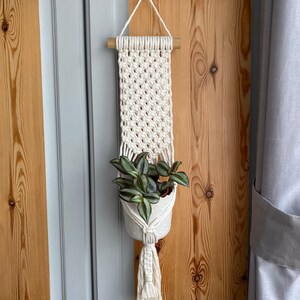 May include: A white macrame plant hanger with a wooden dowel and a white ceramic pot with a green plant inside. The hanger is hanging from a hook on a grey wall.