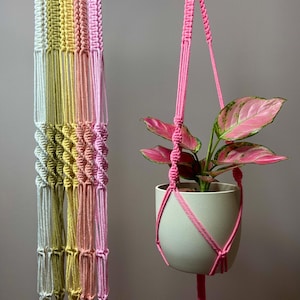 May include: A collection of macrame plant hangers in white, olive green, yellow, peach, and pink, each featuring a wooden ring at the top. One pink macrame hanger holds a light-coloured ceramic pot containing a plant with variegated pink and green leaves.