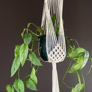 May include: A cream-coloured macrame plant hanger featuring intricate knotted patterns and a long tassel at the bottom. The hanger holds a dark blue, speckled ceramic pot containing a trailing green plant with pointed, variegated leaves.
