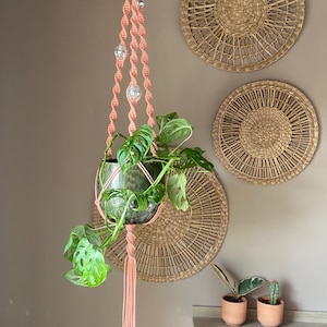 May include: A peach-coloured macrame plant hanger featuring spiral knots and silver-toned spherical beads. The hanger suspends a dark green ceramic pot containing a Monstera adansonii plant, finished with a long, straight fringe at the bottom.