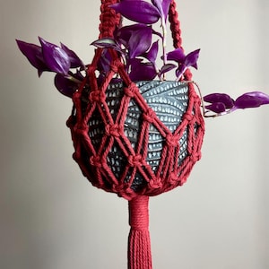 May include: A dark grey ceramic planter with a textured, speckled surface held by a vibrant red macrame cord hanger. The planter contains a plant with deep purple, pointed leaves that extend outward from the top of the container.