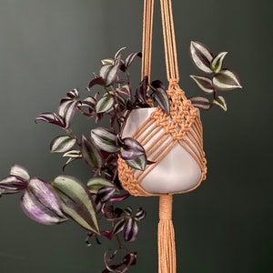 May include: A hanging plant in a beige macramé plant holder. The plant has purple, green, and white striped leaves. The white ceramic pot is suspended by woven cords, with a long tassel at the bottom. The background is a dark green.
