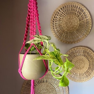 May include: A bright hot pink macrame plant hanger featuring intricate knotted cord patterns, suspending a smooth, matte-finish beige ceramic pot. Inside the pot sits a trailing pothos plant with variegated green and cream-coloured leaves.