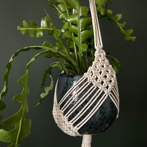 May include: A white macrame plant hanger with a dark blue ceramic pot and a green plant hanging from it.