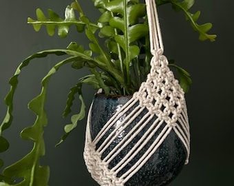 May include: A hanging plant in a dark blue ceramic pot, suspended by a cream-colored macrame plant hanger. The plant has vibrant green, jagged-edged leaves. The macrame design features a woven pattern with diagonal lines.