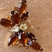 see more listings in the Pins/Brooches: Gold section