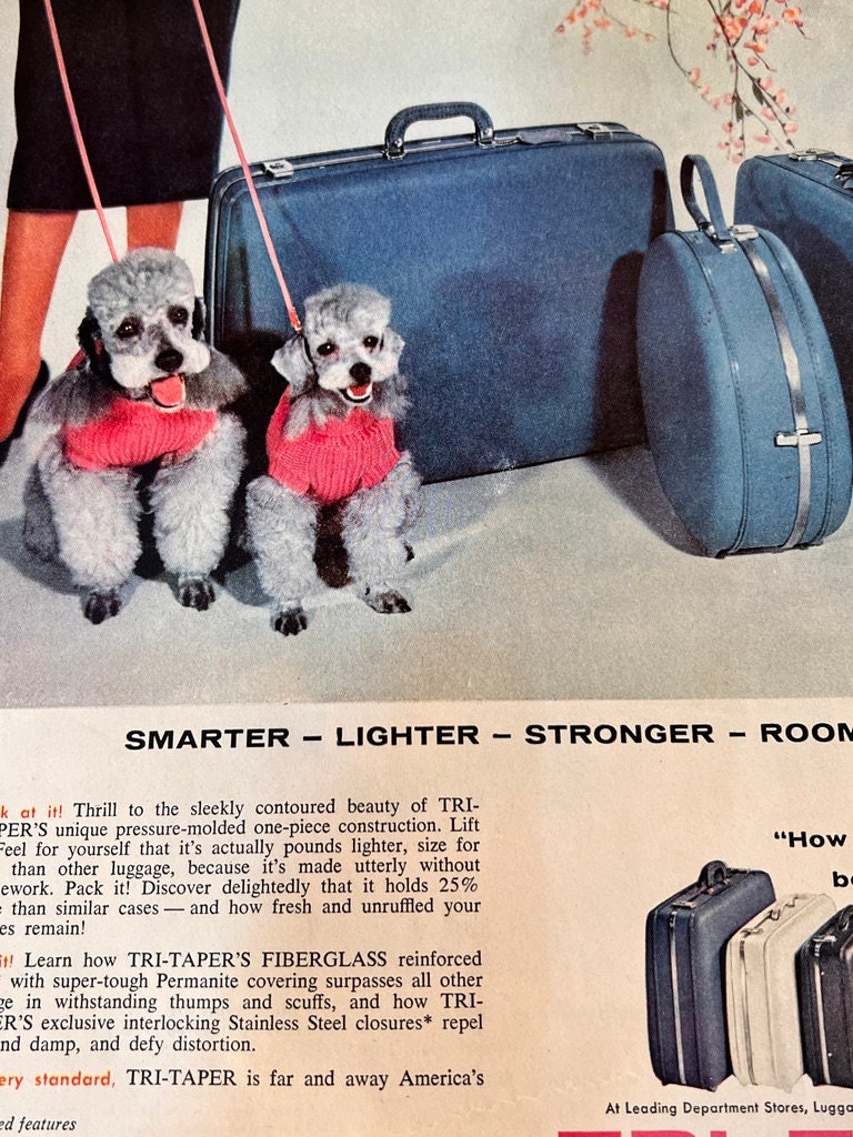 American tourister lightrax review sale