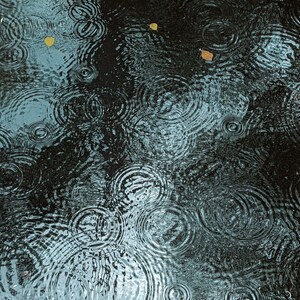 May include: A top-down view of water surface with concentric circular ripples. The water is dark, reflecting the sky, with a few fallen leaves. The ripples vary in size, creating a textured pattern across the surface.
