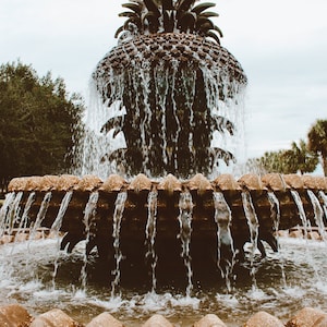 May include: A large, ornate fountain shaped like a pineapple with water cascading down its sides. The fountain is made of stone and has a rustic, weathered look. The fountain is surrounded by lush greenery and palm trees.