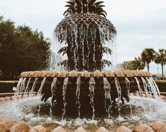 Pineapple Fountain in Charleston, SC!