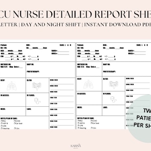 NICU Nurse Detailed Report Sheet | Nurse Brain Sheet, RN Nursing, Printable Template