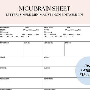 NICU Brain Sheet | Nurse Report Sheet, Nursing Brain Sheet, NICU, Nurse Report Sheet for Patients- Digital Download PDF