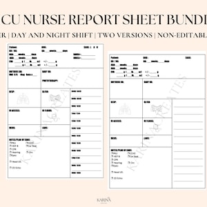 NICU Nurse Report Sheet Bundle | Nursing Brain Sheet, NICU, Nurse Report Sheet for Patients- Digital Download PDF