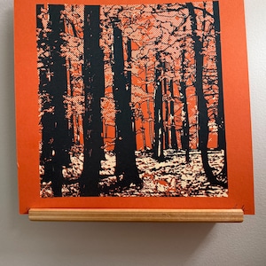 Floating Record Stand Art Display Picture Hanging Shelf
