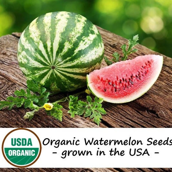 20 Organic Crimson Sweet Watermelon Vegetable Seeds