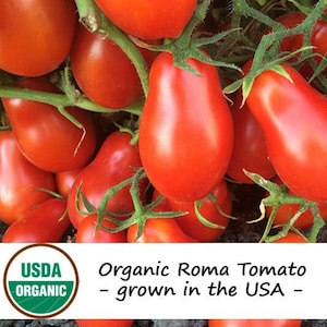 30 Organic Italian Roma Tomato Vegetable Seeds