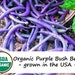 see more listings in the - Organic Vegetables  section