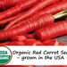 see more listings in the - Organic Vegetables  section