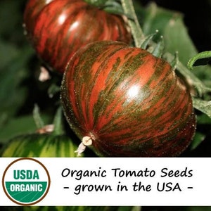 20 Organic Chocolate Stripes Heirloom Tomato Vegetable Seeds