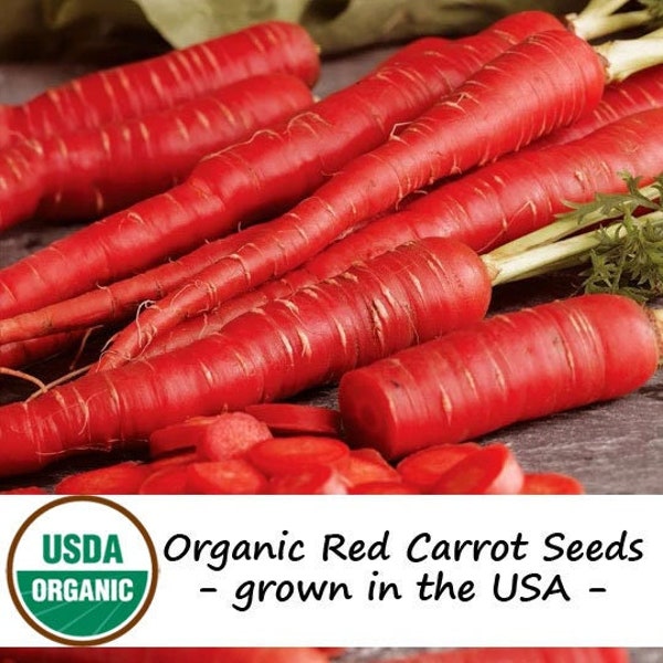 150 Organic Atomic Red Carrot Vegetable Seeds