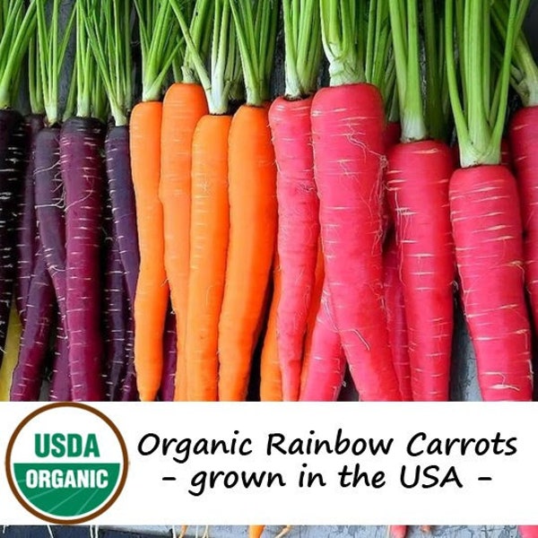 150 Organic Rainbow Mix Carrot Vegetable Seeds