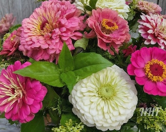 200 Strawberry Swirl Zinnia Flower Seeds