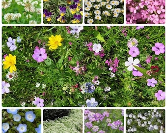 May include: A vibrant collage of various flowers in full bloom. The image showcases a diverse array of colors, including white, yellow, purple, and pink, with green foliage. The flowers appear to be in a garden or natural setting.