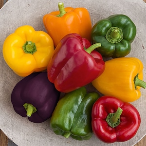 Könnte beinhalten: Draufsicht auf eine Auswahl an Paprika in verschiedenen Farben: gelb, orange, grün, rot und lila. Die Paprika liegen auf einer hellgrauen, strukturierten Oberfläche. Jeder Paprika hat einen grünen Stiel.
