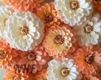 200 Peaches and Cream Zinnia Flower Seeds