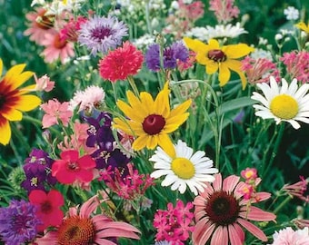 2000 Cut Flower Seed Mix