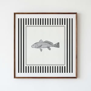May include: A square framed wall art piece featuring a black and white line drawing of a fish centered within a cream-colored square. The central square is surrounded by a border of vertical black and white stripes, all enclosed in a wood frame.