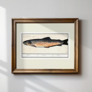 Vintage Fish Art Print, Horizontal Print, Digital Downloadable Wall Art, Nursery, Botanical, Cottage core Decor, Printable Wall Art