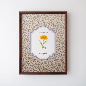 Impresión de caléndula de octubre: ilustración botánica vintage, descargas digitales, regalo de flor de nacimiento, impresión artística estética, regalo personalizado
