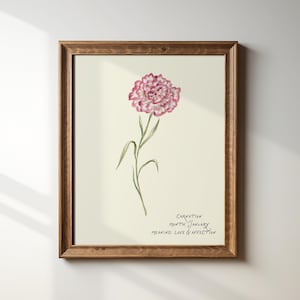 January Birth Flower Carnation Print: Vintage Illustration, Digital Download, Birthflower Gift, Aesthetic Art Print