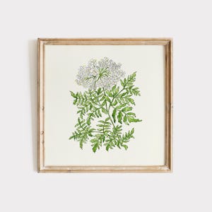 Floral Hemlock Print, Digital Download, Wall Art, Trendy Decor, Botanical illustration, Living Room Art, Cottage