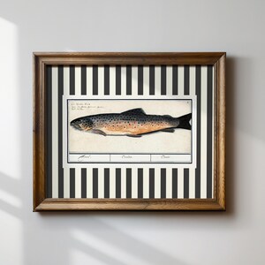 Vintage Fish Art Print, Horizontal Print, Digital Downloadable Wall Art, Nursery, Botanical, Cottage core Decor, Printable Wall Art