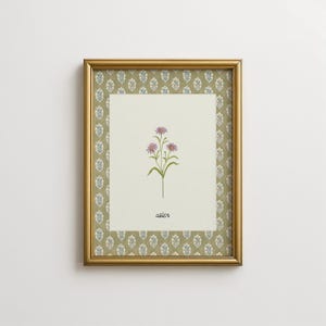 Może przedstawiać: Oprawiony botaniczny nadruk z akwarelową ilustracją kwiatu astra. Grafika ma kremowe tło ze słowem "aster" w skrypcie. Rama jest złota, a passe-partout ma zielono-niebieski wzór kwiatowy.