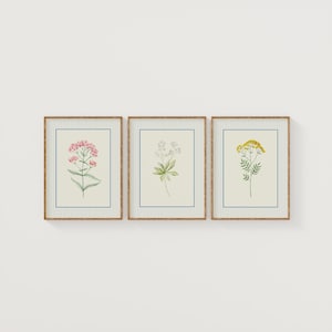 Set of 3 Striped Floral Print Set, Cottagecore Botanical Wall Art, Digital Downloads, Vintage Farmhouse Gallery Wall, Scandinavian Design