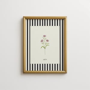 Może przedstawiać: Oprawiony wydruk z botaniczną ilustracją kwiatów astrów. Grafika umieszczona jest na kremowym tle ze słowem "aster" pod kwiatami. Rama jest złota z czarno-białym paskiem.