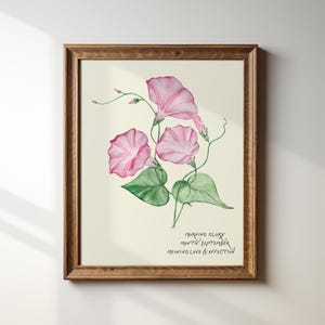 May include: A framed watercolor painting of pink morning glory flowers with green leaves. The text below the flowers reads "Morning Glory, Month: September, Meaning: Love & Affection."